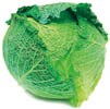 savoy cabbage
